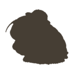 まだ出会っていない